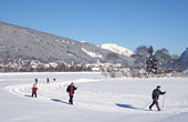 Langlaufen in Radstadt